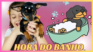 MINIE 🐶 VAI AO PET SHOP TOMAR BANHO 💕 [upl. by Olrak]