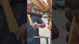 Bees sat on street food [upl. by Nunciata104]