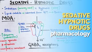 SedativeHypnotic drugs part 2 CNS pharmacology made EASY and QUICK [upl. by Oicanata361]