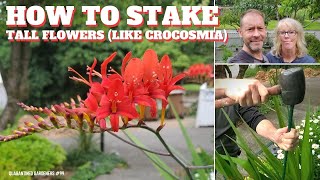 🌻 How To Stake Tall Flowers Like Crocosmia  QG Day 99 🌻 [upl. by Rida]