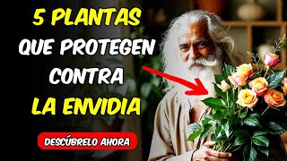 5 PLANTAS que los Budistas Usan para Mantener la Envidia Alejada y Vivir en Paz  Budismo [upl. by Sorel]