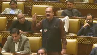 PTI Leader Malik Ahmad Khan Bhachars Speech at Punjab Assembly [upl. by Haywood]