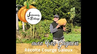 La courge Galeux dEysines Produite par Yves Gagnon Semences du Portage [upl. by Panthia]