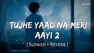 Tujhe Yaad Na Meri Ayee 2 Slowed  Reverb  B Praak Jaani  SR Lofi [upl. by Sardse652]