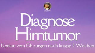 Diagnose Hirntumor Update vom Chirurgen nach knapp 3 Wochen  Lie liest vor Kanalupdate [upl. by Rainer900]