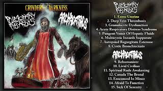 Pulmonary Fibrosis  Archagathus  Grinders Of Darkness LP FULL ALBUM 2023  Goregrind  Mincegore [upl. by Almat]