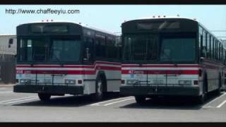 Torrance Transit 437  1989 Gillig Phantom 401026V92TA [upl. by Auoz]