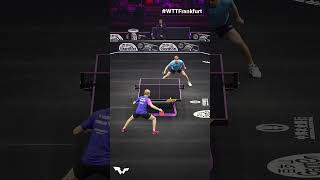 Slick moves by the new World No4 🌟 WTTFrankfurt TableTennis [upl. by Dust809]