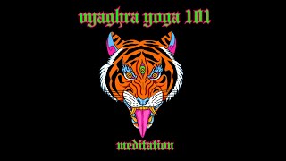 Vyaghra Yoga 101 Meditation [upl. by Adolphus]