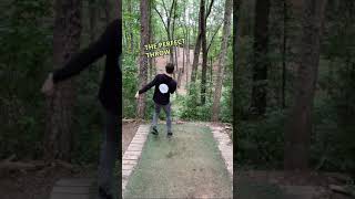 Capturing the moment my flawless frisbee golf shot [upl. by Perkin]