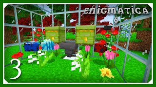 Enigmatica 6 Modpack  Starting Resourceful Bees  E03  1164 Modpack [upl. by Connolly]