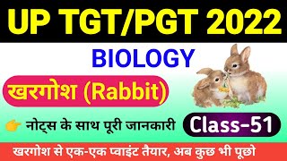 खरगोश Rabbit  Oryctolagus cuniculus  morphology and anatomy oryctolagus cuniculus in hindi [upl. by Brigg]