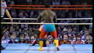 Koko BWare in action [upl. by Annekim362]