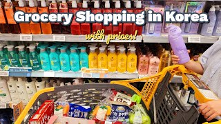 Shopping in Korea vlog  Grocery Food haul with Prices  Grocery Shopping in Korea [upl. by Ahsinid]