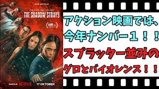 【映画紹介】【ゆっくり映画レビュー】 ロスト・イン・シャドー インドネシア映画恐るべし！！ ネタバレなしで紹介します！！ 【ネットフリックス】 [upl. by Eralcyram222]