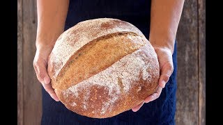 No Knead Bread   Easy homemade bread recipe with whole grain options [upl. by Esilahc406]