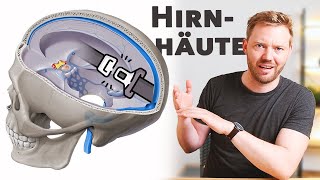 Deshalb brauchen wir Hirnhäute Sinn und Anatomie [upl. by Ahsinna]