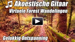 Akoestische Gitaar Instrumentale Virtuele Walking Tour Bos Wandelingen Loopband Video Lopen Thuis on [upl. by Annoet]