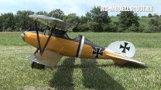 Test Jagdflugzeug ALBATROS DV von robbe Modellsport [upl. by Nalro]