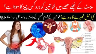 Pet ke Nichle Hisse me Dard Hona LowerBelly Pain in Urdu Lower Abdomen Pain inFemale by PregnO [upl. by Ungley950]