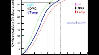 Leftshift of the the OxygenHemoglobin Dissociation curve [upl. by Eirrac]