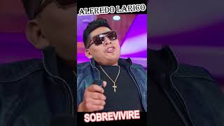 ALFREDO LARICO 🎶✨SOBREVIVIRE🎶✨ musica mixto music cumbion amor huayno envivo agrupacion [upl. by Nosnor208]