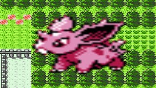 How to find Nidoran♂ in Pokemon Gold and Silver [upl. by Reames450]