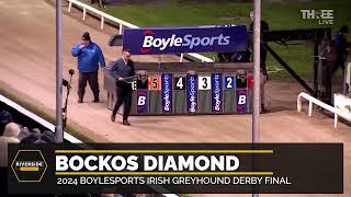 Bockos Diamond  2024 BoyleSports Irish Greyhound Derby Final [upl. by Dearborn]