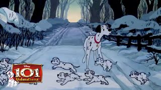 Covering your tracks  HD 811 Movie Scenes  101 Dalmatians 1961 [upl. by Sale]