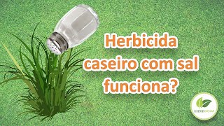 Herbicida caseiro com sal funciona [upl. by Ainafetse83]