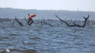 Tawakoni Tree Hugger [upl. by Judus]