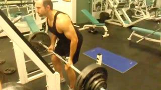 Tim 45 Degree Bent Over Row 305 x 8 [upl. by Ninazan]