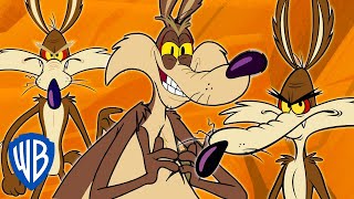 Looney Tunes  Wile E Coyote Genius Extraordinaire  30 Minutes [upl. by Nyrahs]