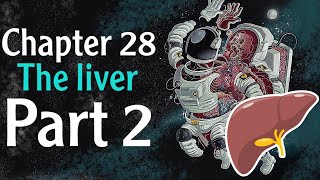 Physiology chapter 28 The Liver part 2  فسلجة وزاري [upl. by Sonny]