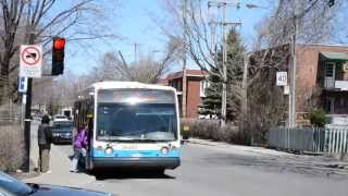 Montreal STM Nova Buses On Feilding Street In NDG [upl. by Kurland]