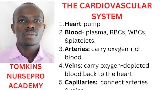 CARDIOVASCULAR SYSTEM ANATOMY [upl. by Teik]