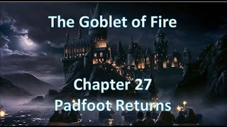 ⚜Harry Potter⚜ Audio in Korean  The Goblet of FireChapter27 Padfoot Returns [upl. by Ilram]