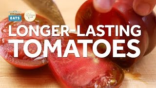 LongerLasting Tomatoes [upl. by Bina272]