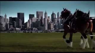 Budweiser Clydesdales 9 11 ten years later Tribute [upl. by Gnaht]