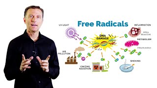 What Is Oxidation – DrBerg on Free Radicals and Antioxidants [upl. by Irafat]