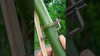 Bamboo creations with Simple Bamboo Idea Bamboo Diy Slingshots Bambooart [upl. by Willyt]