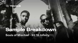 Sample Breakdown Souls of Mischief  93 til Infinity [upl. by Noslen]