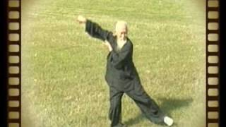 Daoist Bagua Master Lu Zijian 117  Taiyi Huolong Palm [upl. by Ekal850]