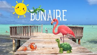 Bonaire presented [upl. by Anelliw785]