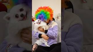 cute dog way to lubricate his throat 😂dog pets funny shorts [upl. by Erund253]