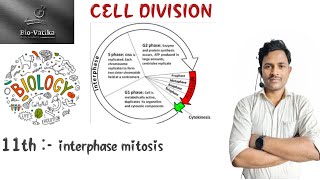 Bio vatika class 11th  Cell division lacture2  Inter phase Mitosis viral [upl. by Whitman]