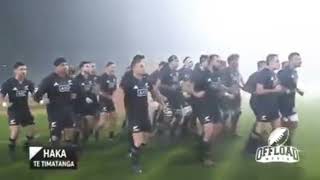 The All Blacks dance to quotHop Hop Spinnekopquot [upl. by Edana]