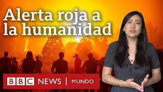 5 revelaciones del informe de la ONU sobre cambio climático y qué dice sobre América Latina [upl. by Cherilyn]