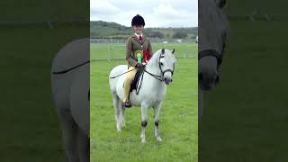 Royal Lancashire show 2024 Very proud of this pony [upl. by Ihcekn]