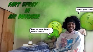 Fart Spray in Air Diffuser Prank on Wife [upl. by Adlin]